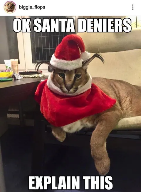 Santa Deniers Explain This