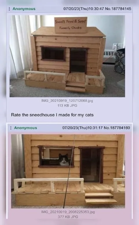 Cat Sneedhouse