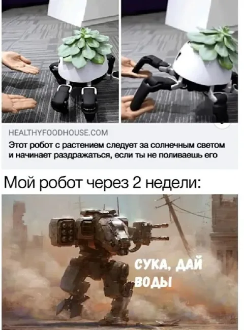 Мой робот через 2 недели