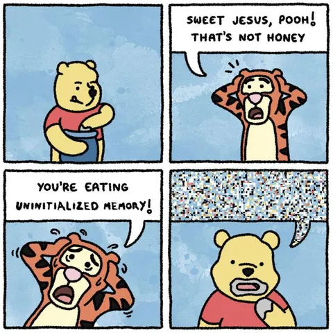 Pooh Eats Uninitialized Memory