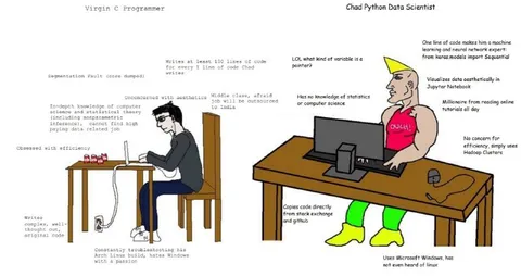 Virgin C Programmer vs Chad Python Data Scientist