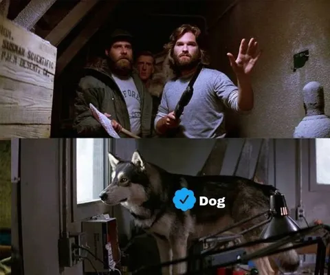 Verified Dog Meets The Thing