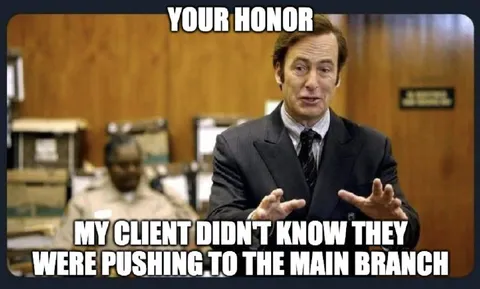 Your Honor My Client Didn’t Know