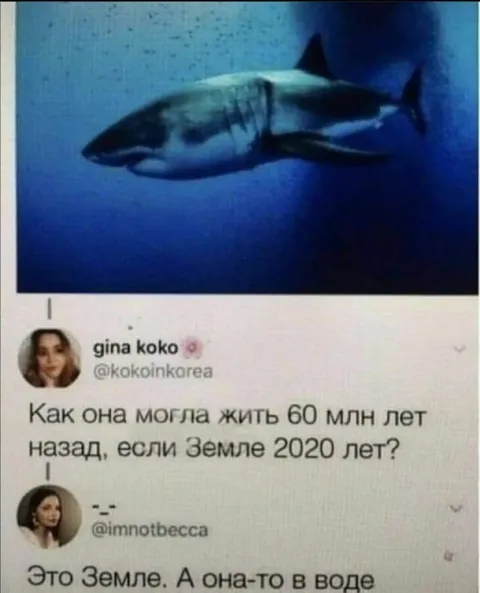 Акула и 2020 лет Земле