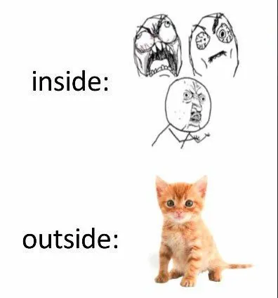 Inside Versus Outside Cat