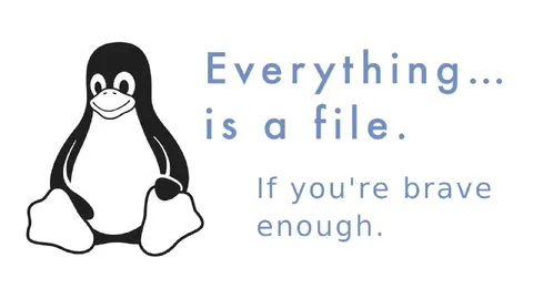 Everything Is a File