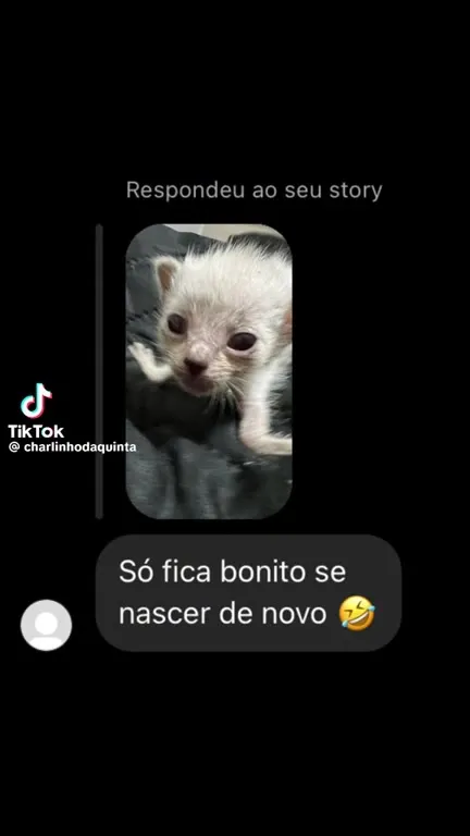 Só fica bonito se nascer de novo