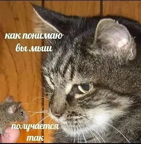 Как понимаю, вы мыши