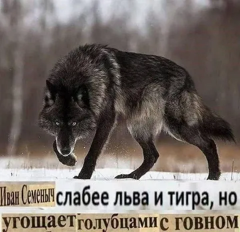 Иван Семеныч угощает голубцами