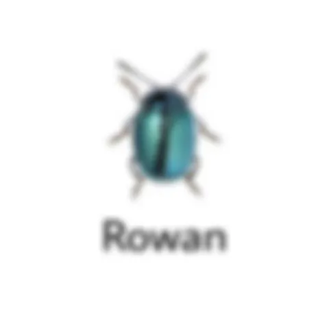 Roman Beetle