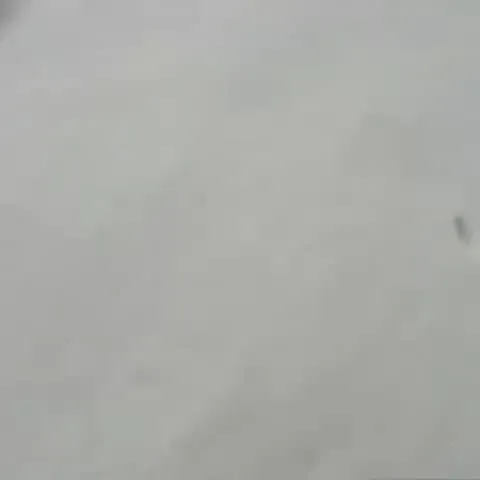 Собака провалилась в снег