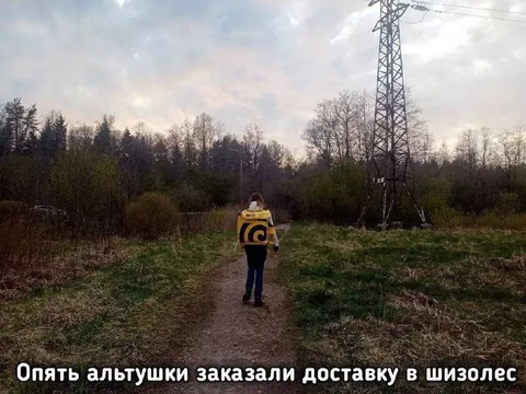 Альтушки заказали доставку в шизолес