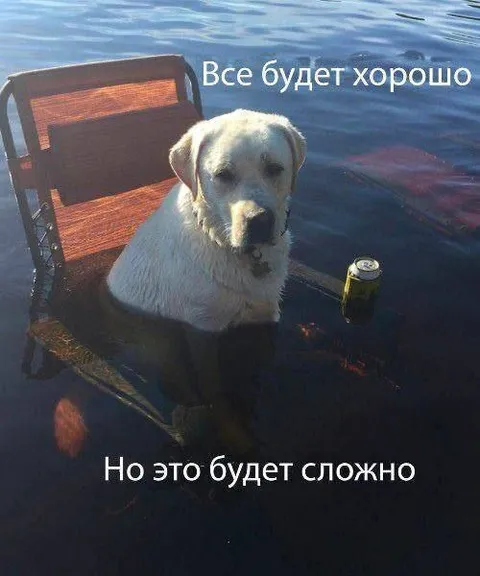 Всё будет хорошо, но сложно