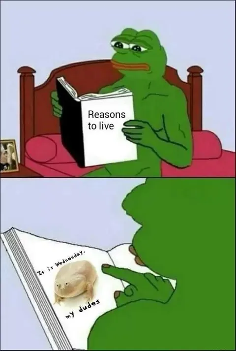 Pepe Finds Reasons to Live