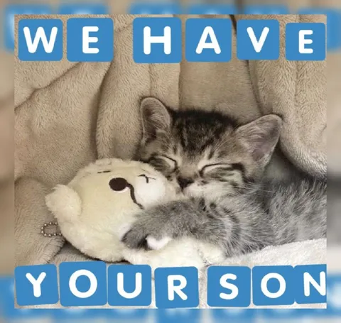 We Have Your Son Kitten