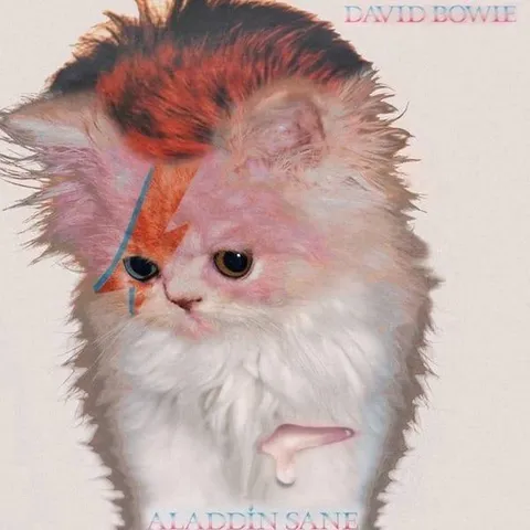 Aladdin Sane Cat