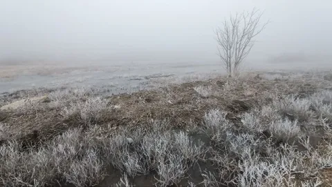 Иней и туман вместо снега