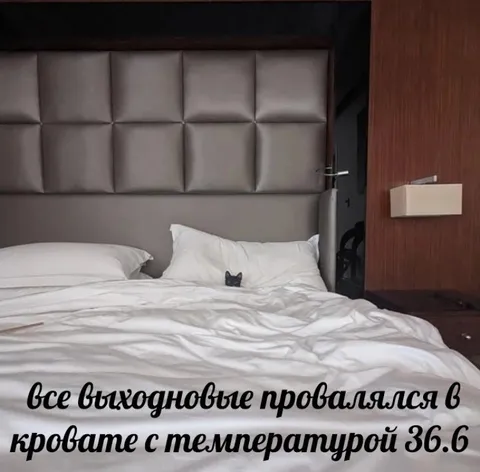 Все выходные в кровати
