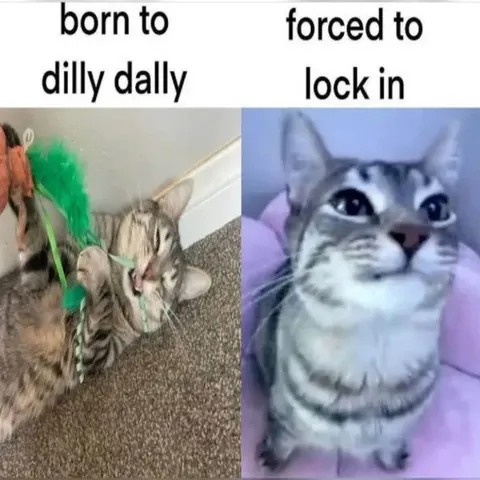 Born to Dilly Dally Forced to Lock In