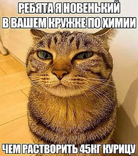Новенький в кружке по химии