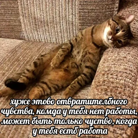 Когда нет работы хуже, чем есть