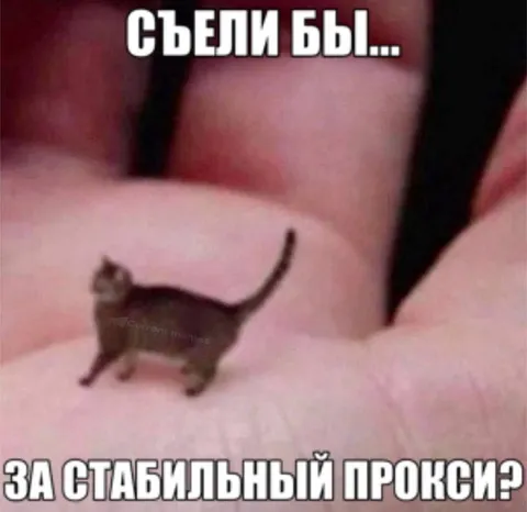 Съели бы за стабильный прокси