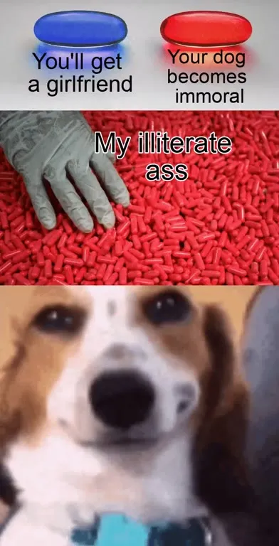 My Illiterate Ass Misreads the Meme