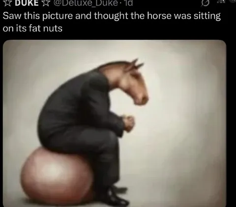 Horse Sitting on Its Nuts