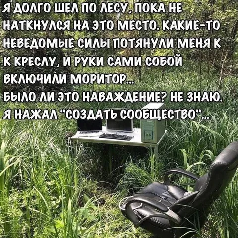 Лесное кресло и монитор
