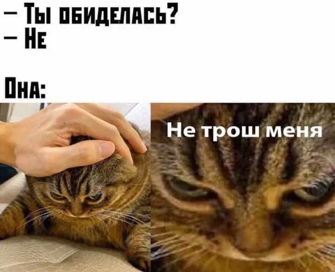 Не трожь меня