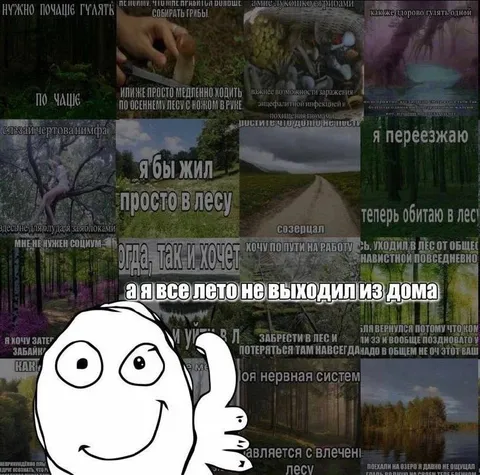 Я бы жил просто в лесу
