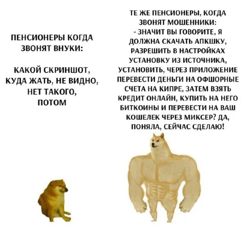 Пенсионеры и мошенники