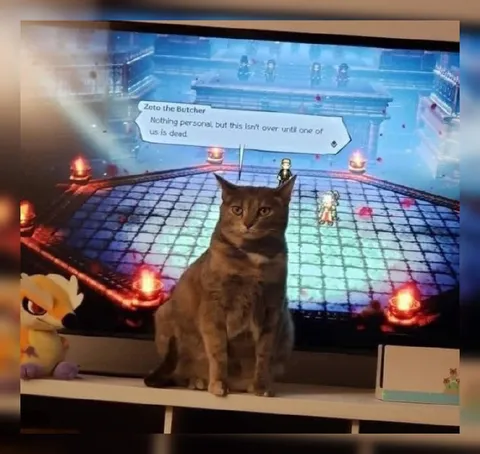 Cat Interrupts a Boss Battle