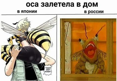 Оса залетела в дом