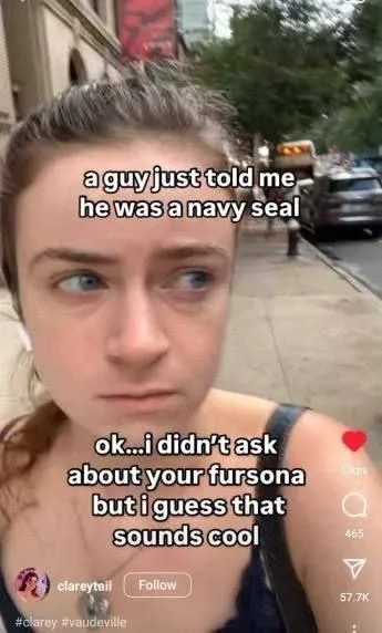 Navy Seal Fursona Confusion
