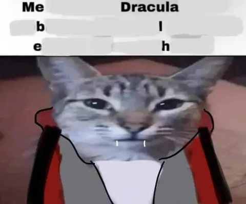 Me Versus Dracula Cat