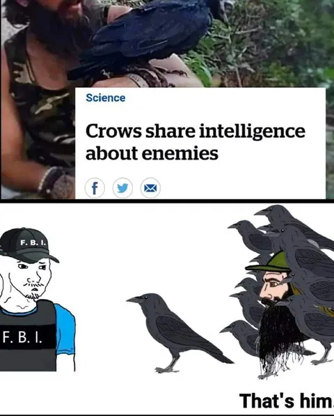 Crows Share Intelligence About Enemies