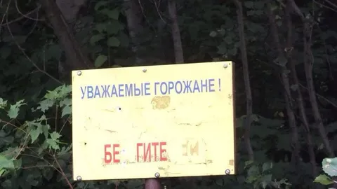 Уважаемые горожане, бегите