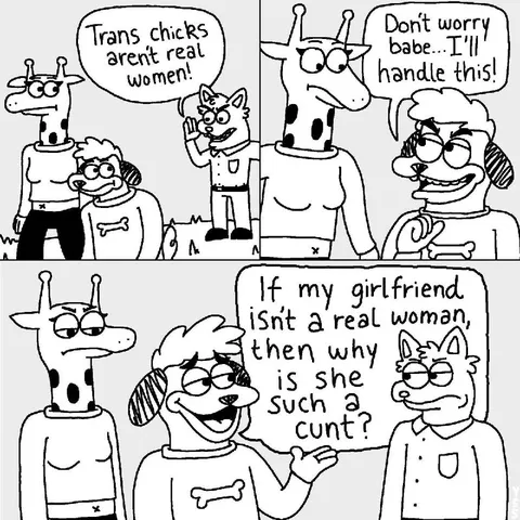 Trans Chicks Aren't Real Women