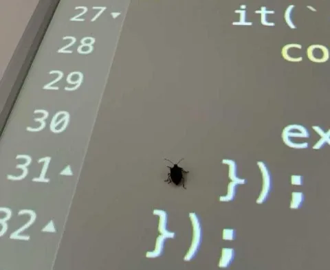 Bug Hiding in the Code