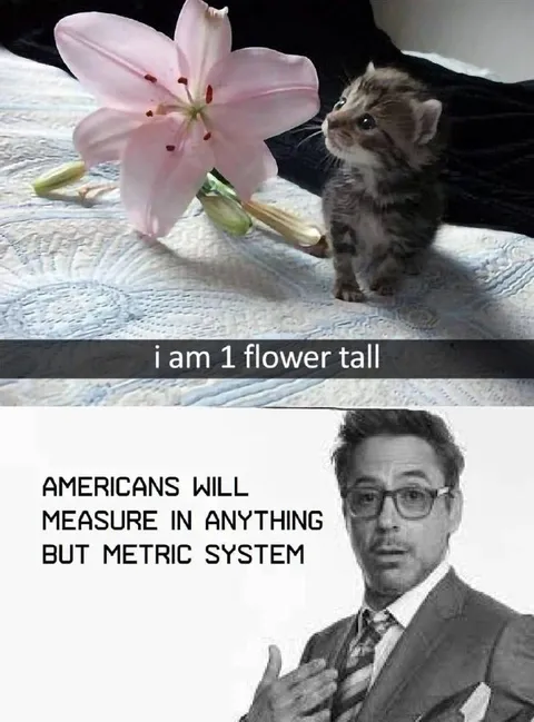 Americans Measure Everything Except Metric