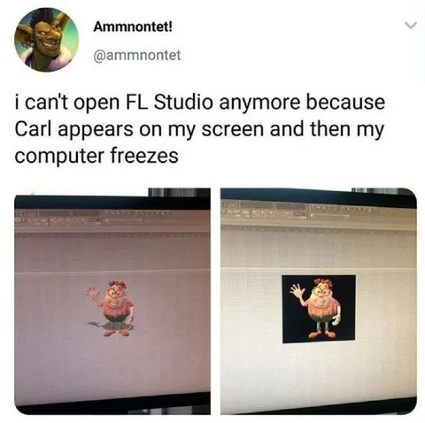 Carl Freezes FL Studio