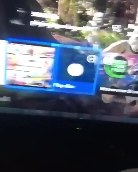 Duck Interrupts Netflix Time