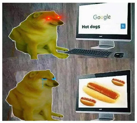 Doge Searches Hot Dogs