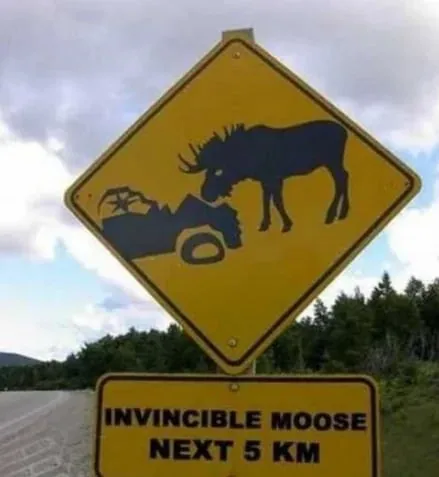 Invincible Moose Next 5 KM