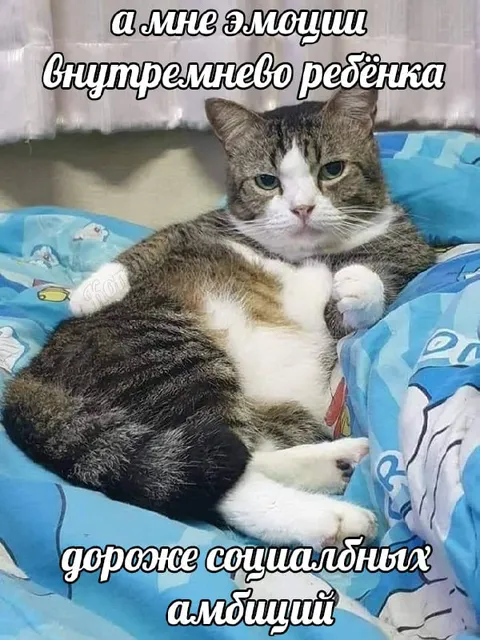Эмоции внутреннего ребёнка важнее амбиций