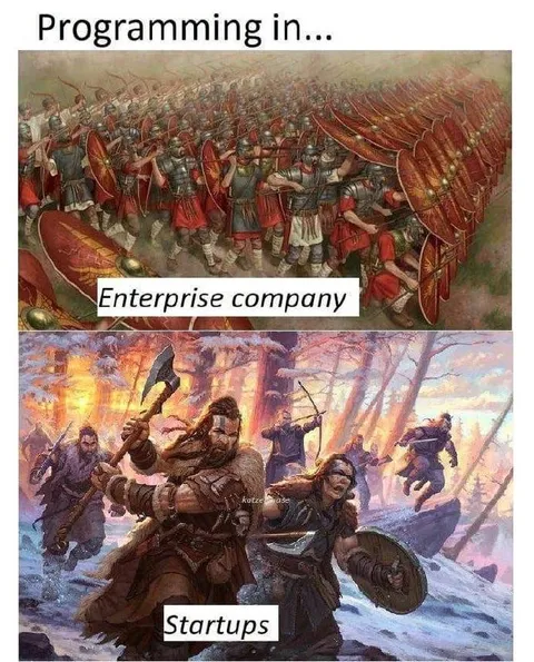 Programming in Enterprise vs Startups