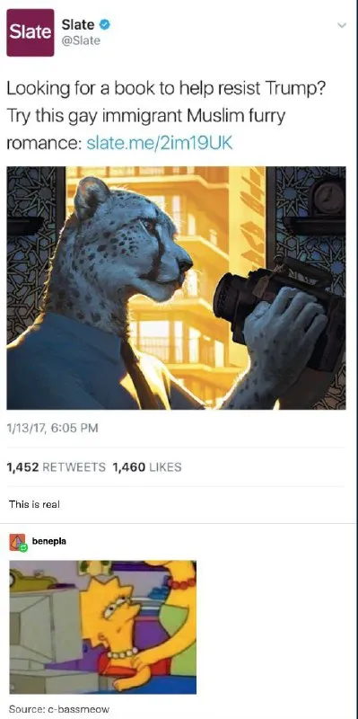 Gay Immigrant Muslim Furry Romance