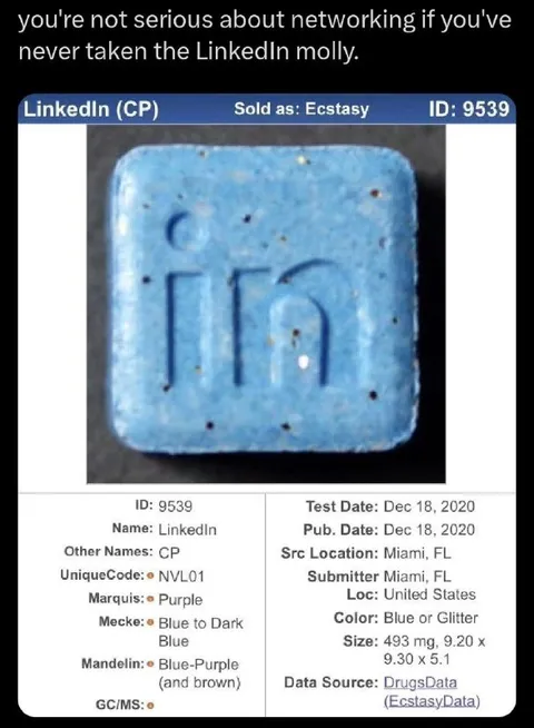 LinkedIn Molly Networking