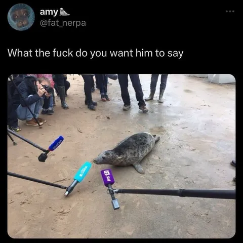 What Do You Want Him to Say